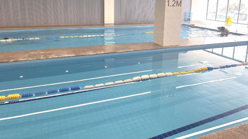 恒温泳池 恒温泳池