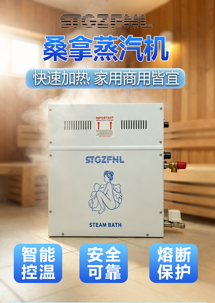 STGZFNL ST蒸汽机