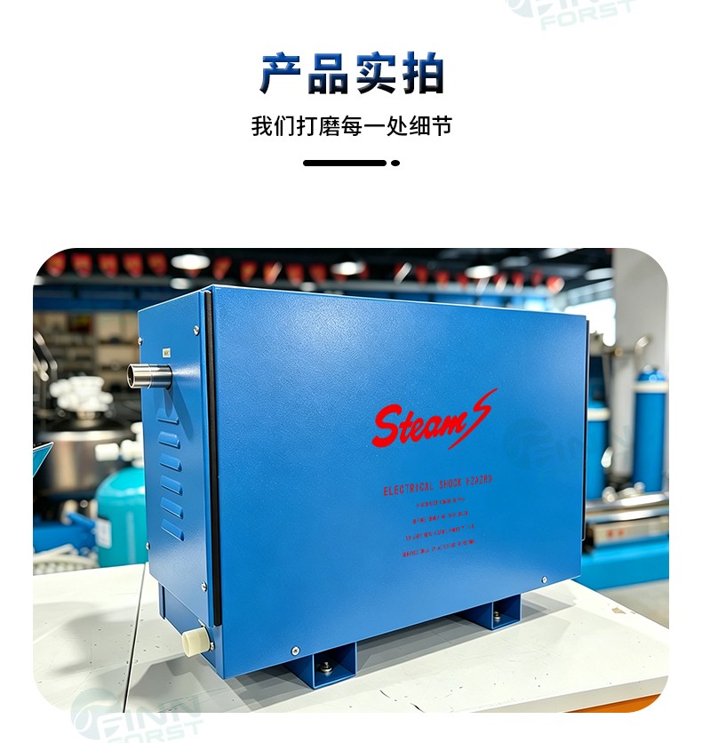 FANLAN不锈钢蒸汽机